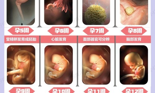 早孕生化的可能性大吗-早孕生化月经的区别网 - 怀孕生化的症状跟姨妈一样吗,生化妊娠和月经区别